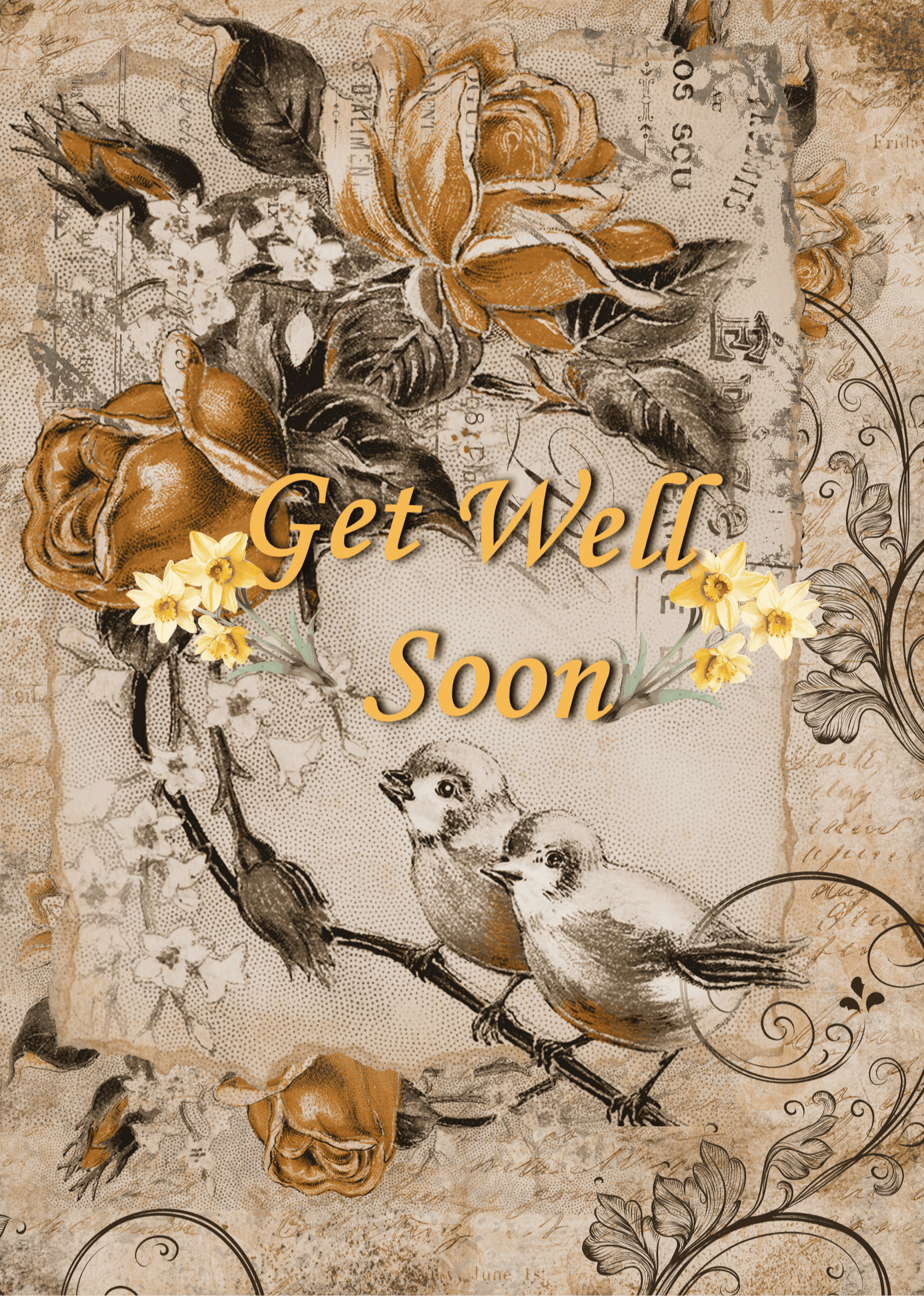 Birds - Get Well Soon Greeting Card